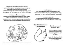 Eichhörnchen-Faltbuch-Lebensweise.pdf